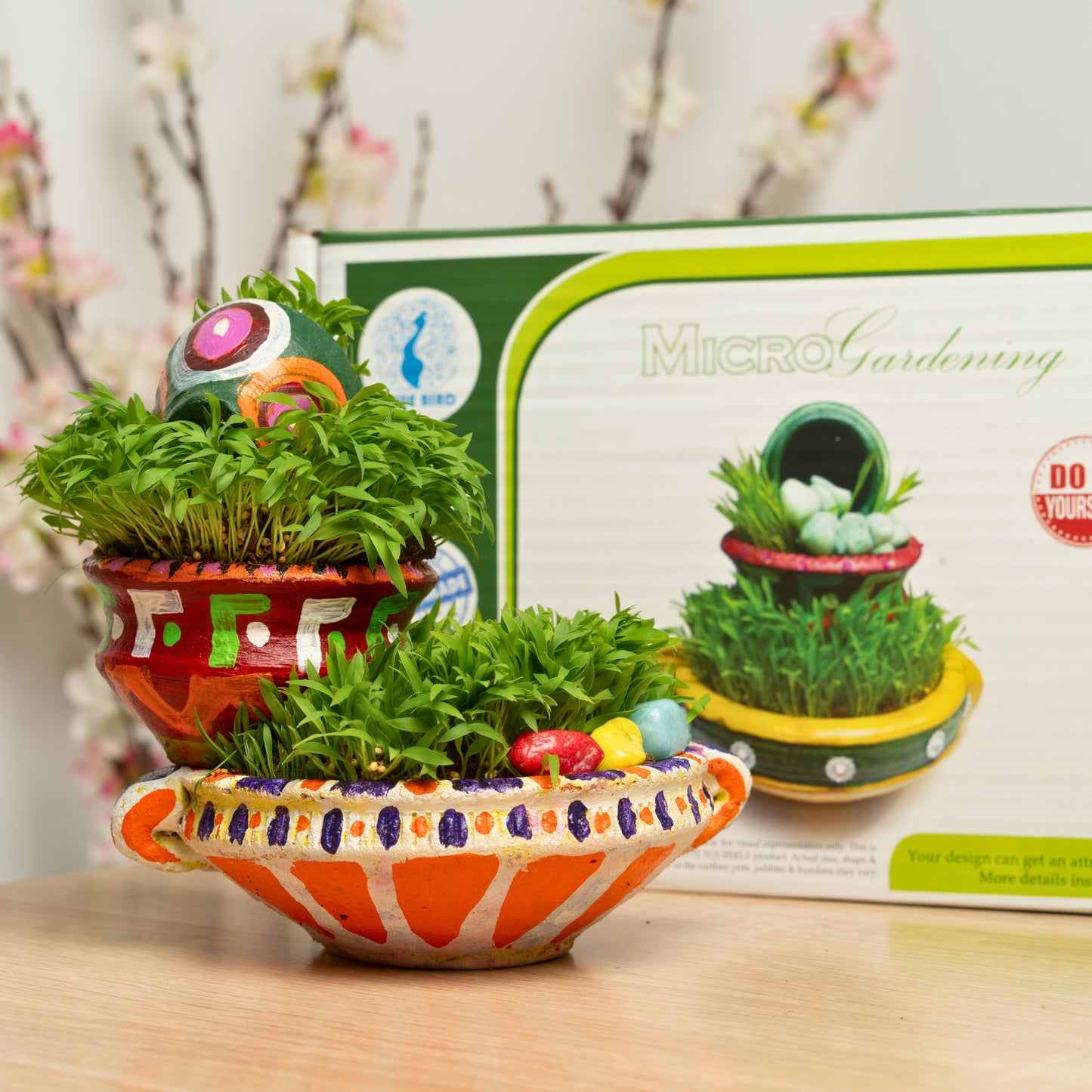 Micro Gardening DIY Complete Art & Craft Gardening Set For Age 8 Years & Above